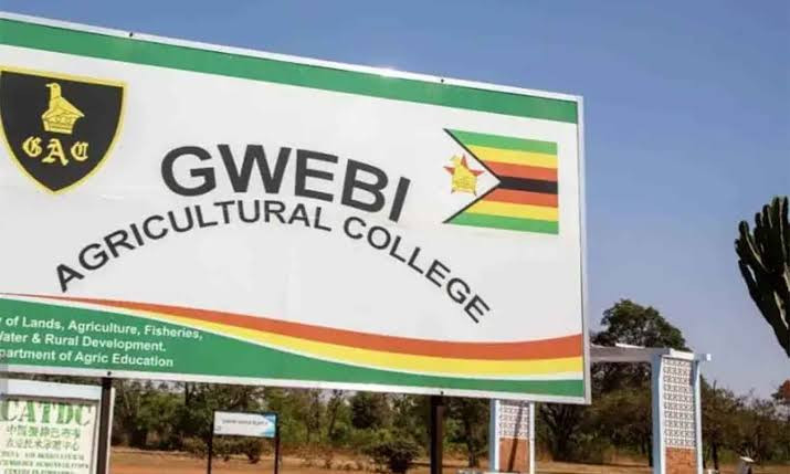 60 farmers graduate under Zimplats-Gwebi programme