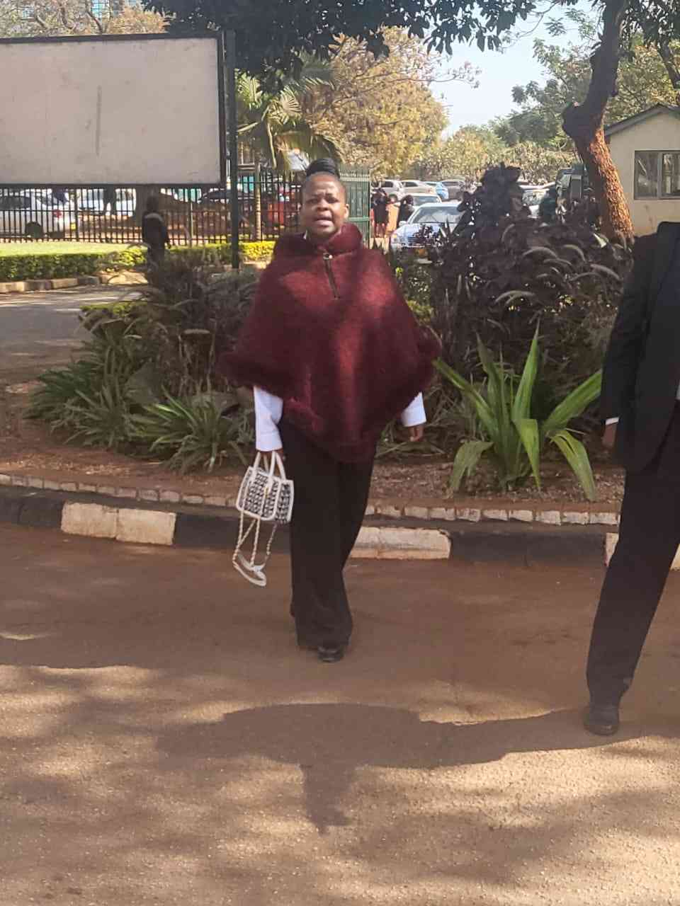 Chivayo's father-in-law caught in love triangle as wife takes side chick to court