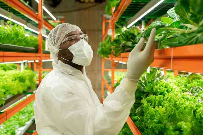 Beyond minerals: Horticulture, zero tariffs and export restructuring of Zimbabwe within Africa and the Global South