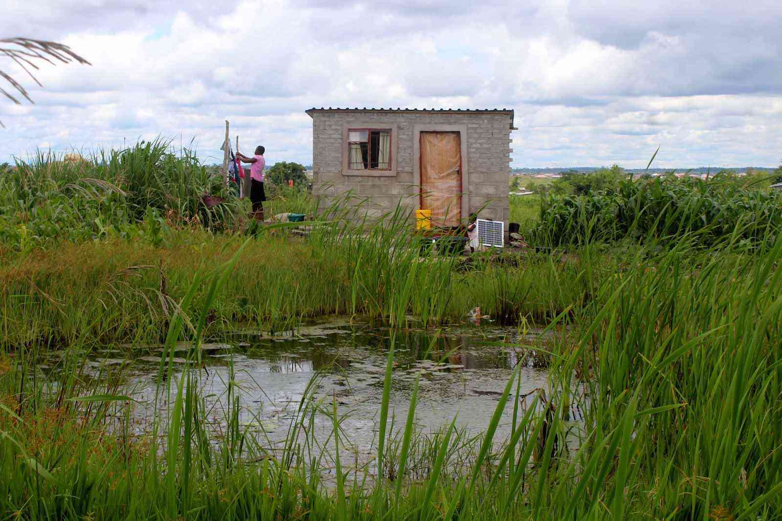 Senators sound  alarm over wetland destruction