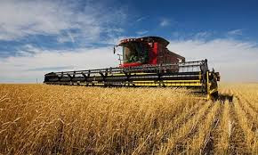 Farmers target 662,500 tonnes of winter wheat harvest
