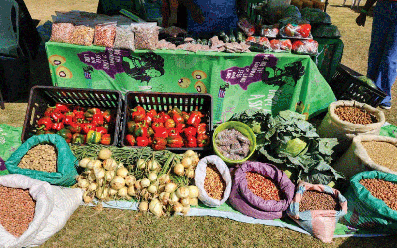 Agric, innovation and empowerment shine at WIFE festival