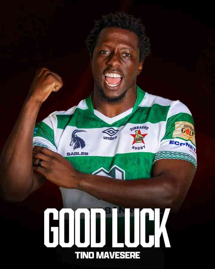 Mavesere leads Sables into USA  Nations Cup redemption