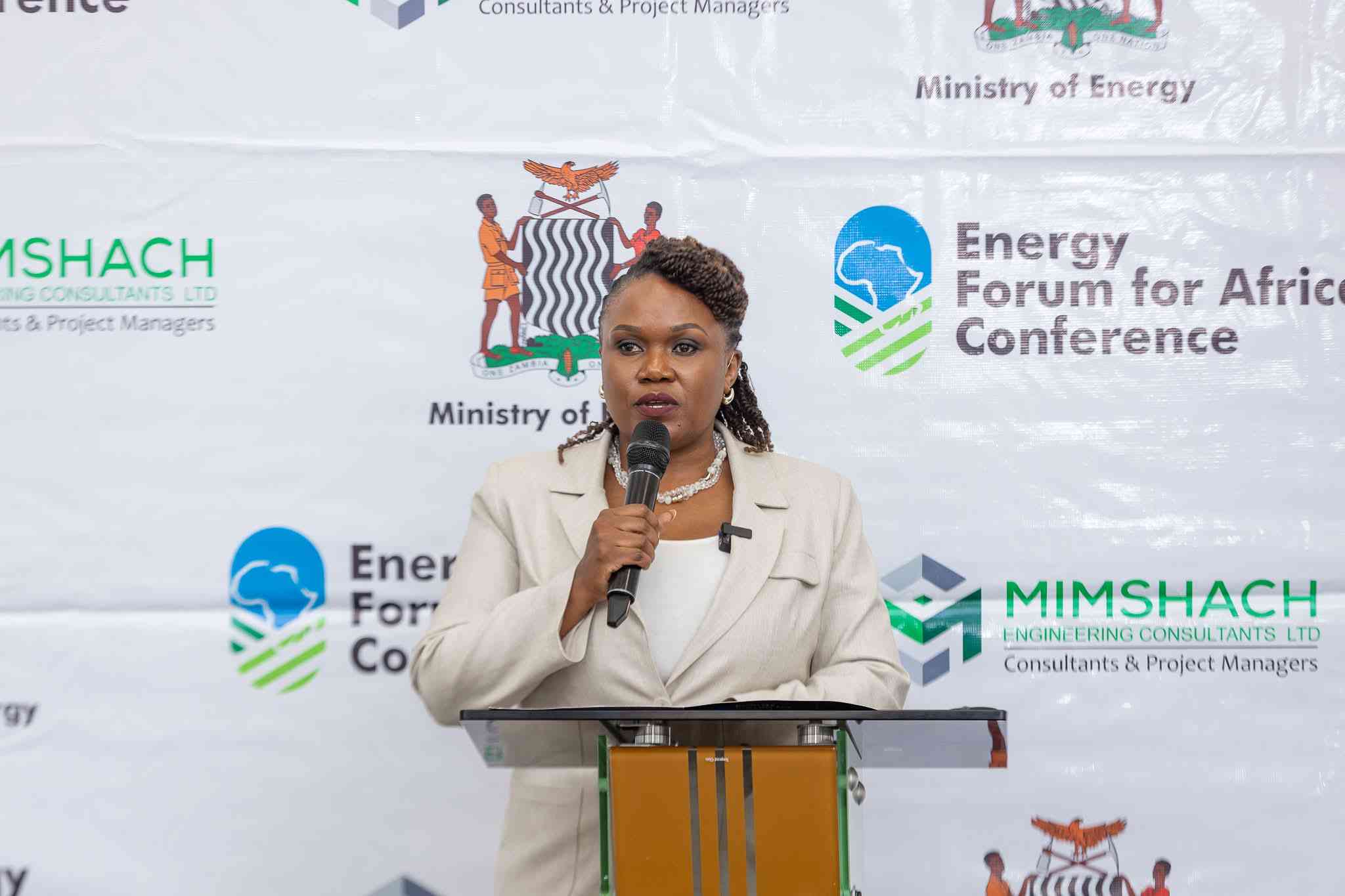 Zimbabwe's energy reforms spark investor confidence, says African energy chief