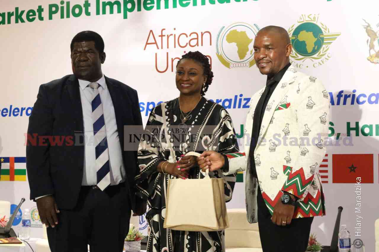 Zimbabwe backs drive to dismantle protectionism in African aviation industry