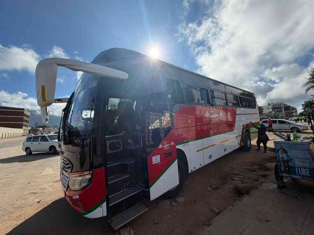 Zanu PF youth venture into public transport business