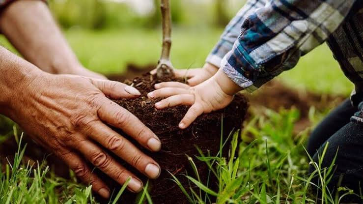 How farmers can protect their agricultural innovation