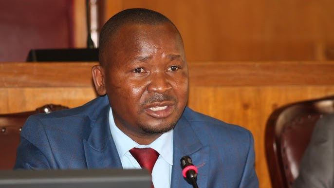 Ex-legislator Dubeko takes Mnangagwa to ConCourt over term extension
