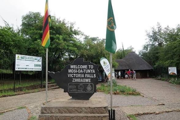 Vic Falls Rainforest resumes normal operations following elephant scare