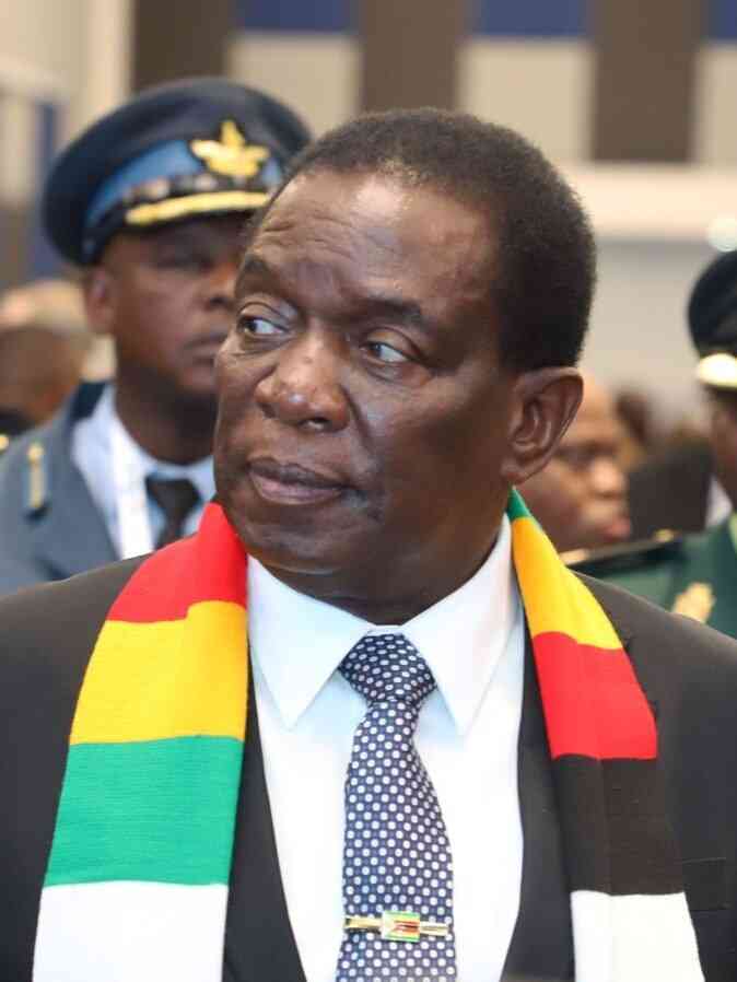 Mnangagwa to rule forever: Zanu PF