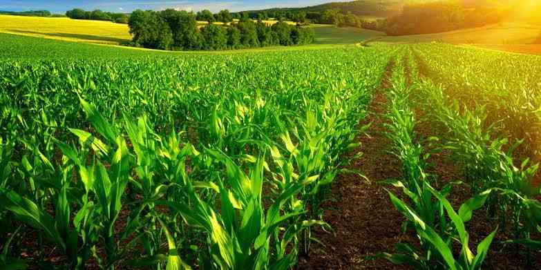 Farmers, investors' legal guide on joint venture agreements