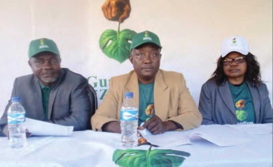 Ex-soldiers launch party to challenge ED term extension