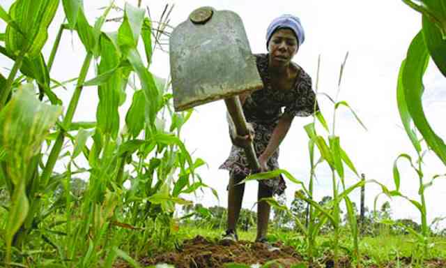 Mass markets build farmer confidence and transform behaviour