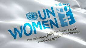 UN Women shifts strategy as family violence takes alarming new turn