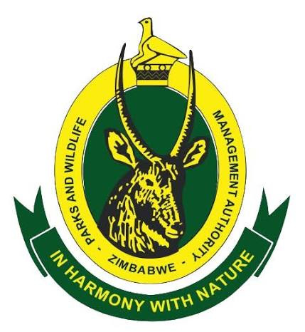 Zim exports wildlife to Equatorial Guinea