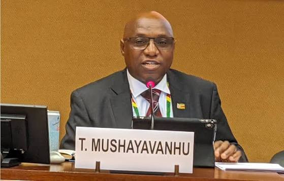 UN urged to strengthen protection for survivors of sexual Vlviolence
