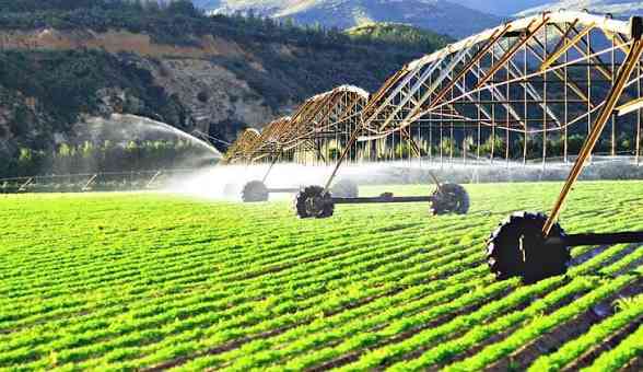 Zim targets major irrigation expansion