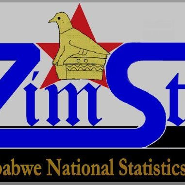 ZIMSTAT begins household survey preparations