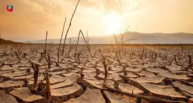 Zimbabwe ramps up livestock protection ahead of El Niño, as anthrax vaccinations surpass target in Masvingo province
