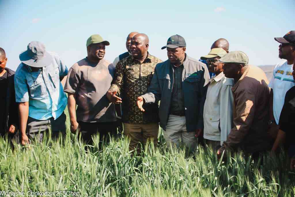 Parliament applauds ARDA's production models for driving wheat success
