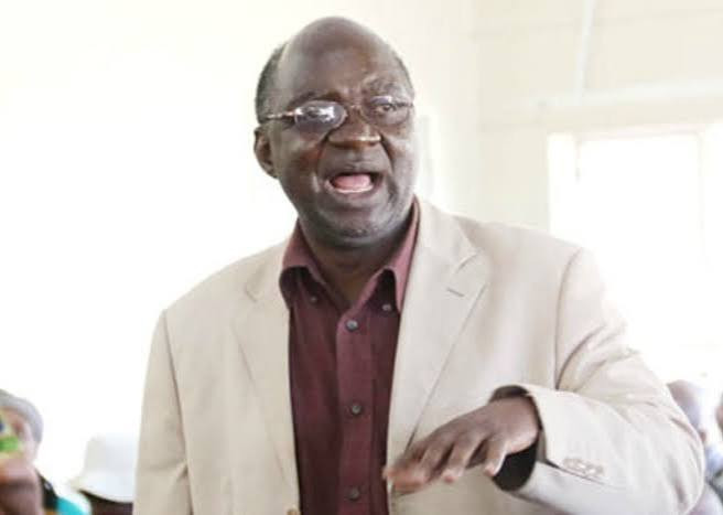 Chief halts dam construction at Kaguvi Shrine