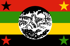 Zipa mobilises for transitional authority