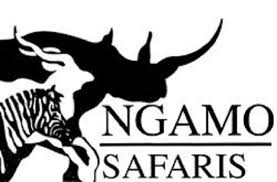 Workers, management clash over Ngamo Safaris takeover