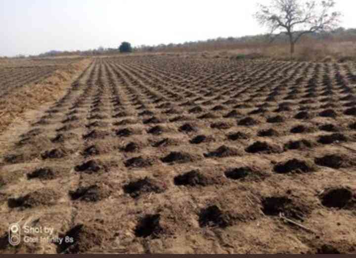 Nkayi agriculture inputs allegedly diverted