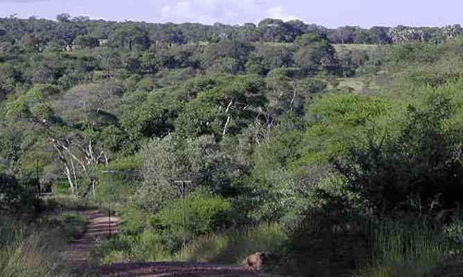 Fierce land wars erupt in Chiredzi