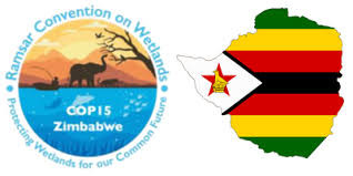 COP15 set for Victoria Falls