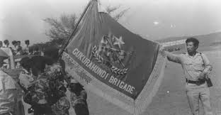 ‘Protect Gukurahundi victims during public hearings’