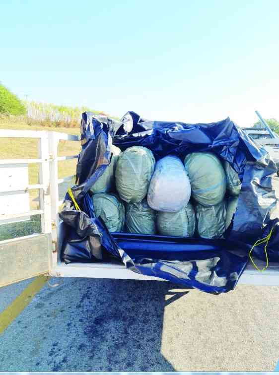 SA police intercept R8m Zim-bound dagga
