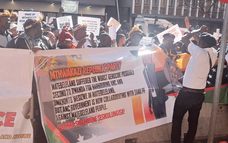 Gukurahundi hearings: Zimbos protest at UN office