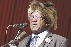 Pressure mounts on govt over Gukurahundi hearings
