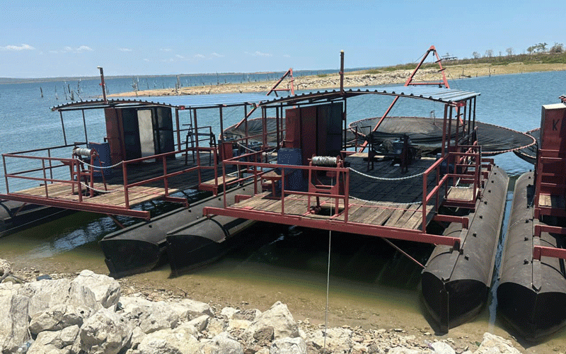 Binga traditional leaders cry foul over fish projects