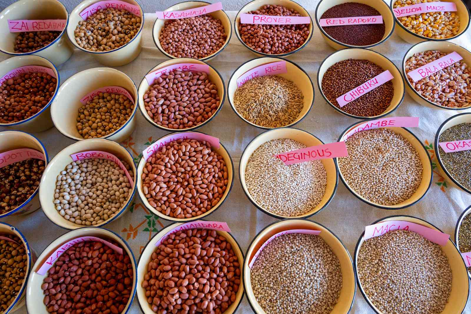 Mwenezi drives push for indigenous seeds to beat climate change