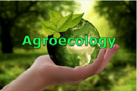 Insiza farmers embrace agroecology