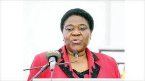 Hwange MP bemoans foreigners’ exploitation of natural resources