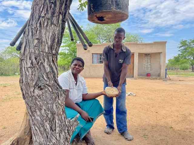 New types of ranching on medium scale land reform farms in Matobo