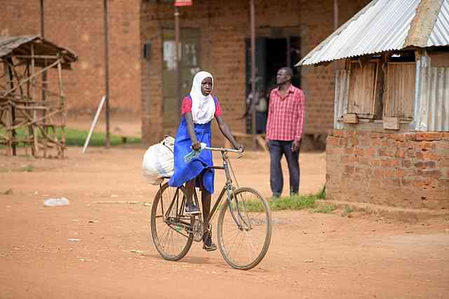 Plumtree town council bans cycling without licence
