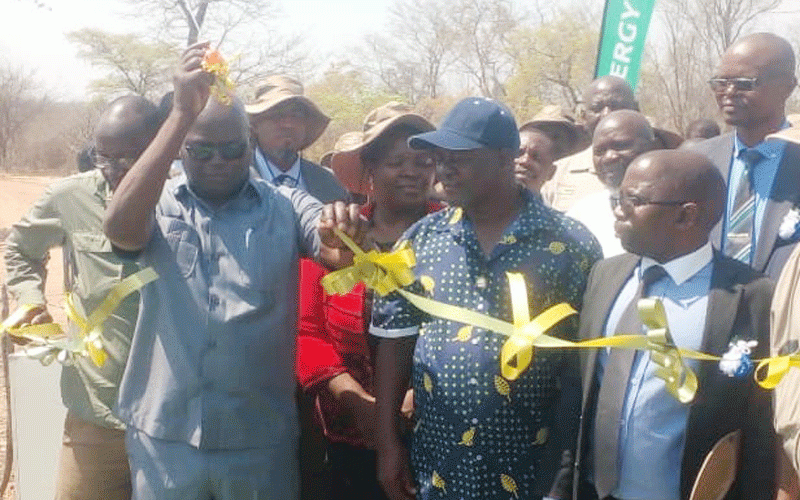 Power project: Binga villagers finally see the light