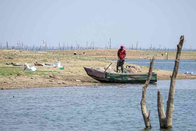 Plumtree bans fishing on its dams