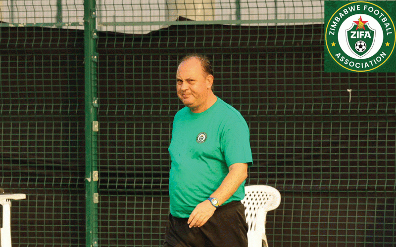 Bosso greats speak on new Warriors coach