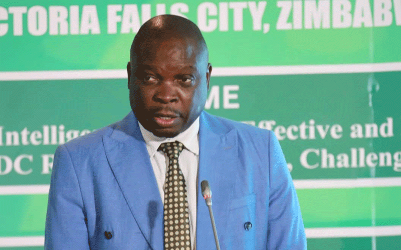 Minister seeks Mnangagwa  intervention on Tsholotsho road