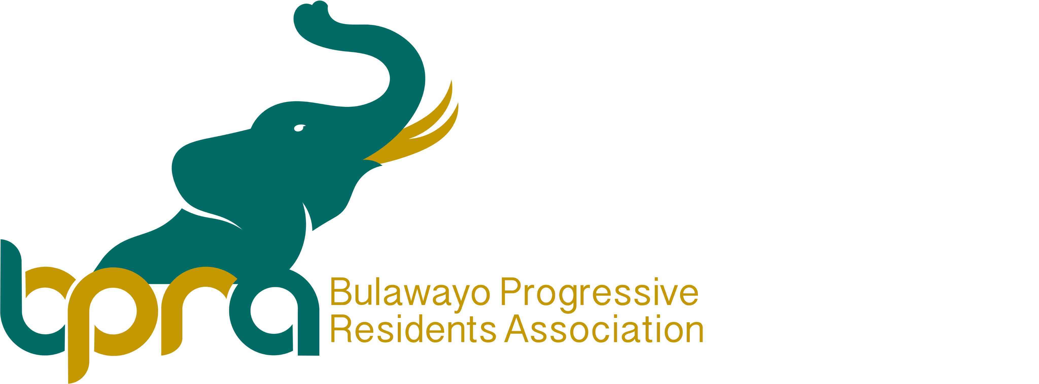 Push to revive Bulawayo power station excites residents