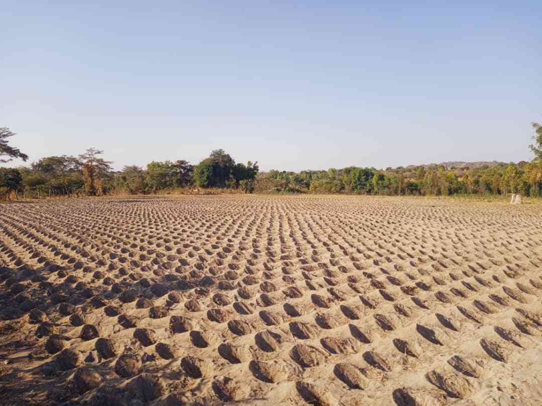 Mat South hosts Intwasa national launch