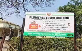 Plumtree council gives artist special recognition