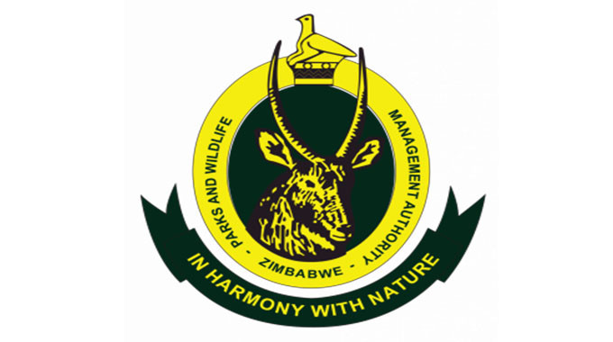 Wild animals kills 13 in Matabeleland provinces