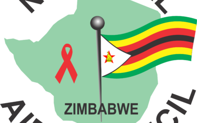 Byo records decline in VMMC uptake amid STI concerns