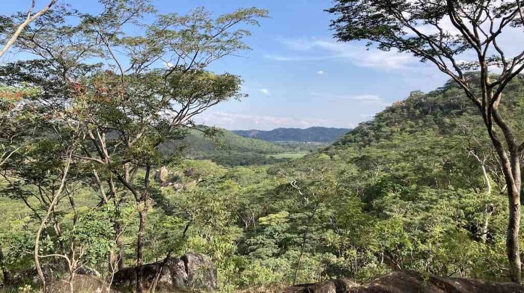 Bulilima communities unite to restore forests